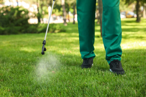 Professional Pest Control in Vardaman, MS