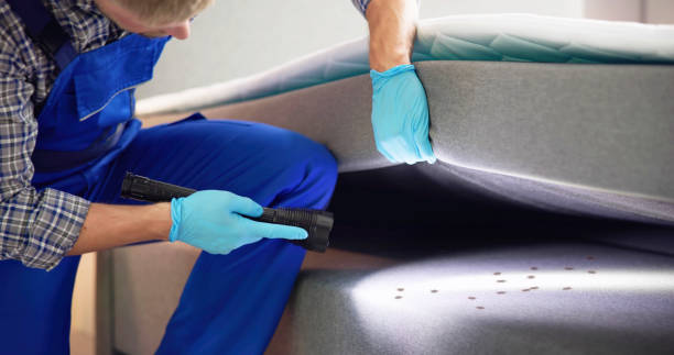 Best Bed Bug Extermination  in Vardaman, MS