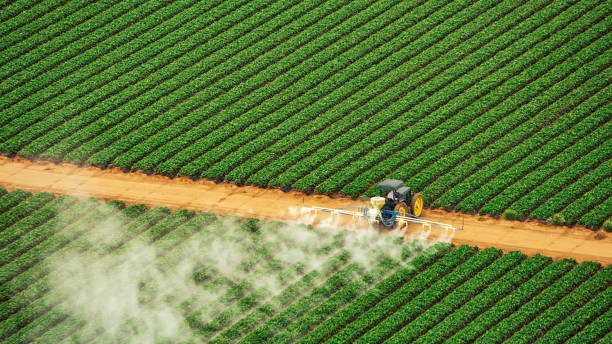 Best Best Pest Control Companies  in Vardaman, MS